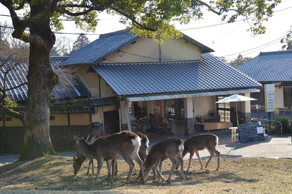 The Deer Park Inn Nara Exteriör bild