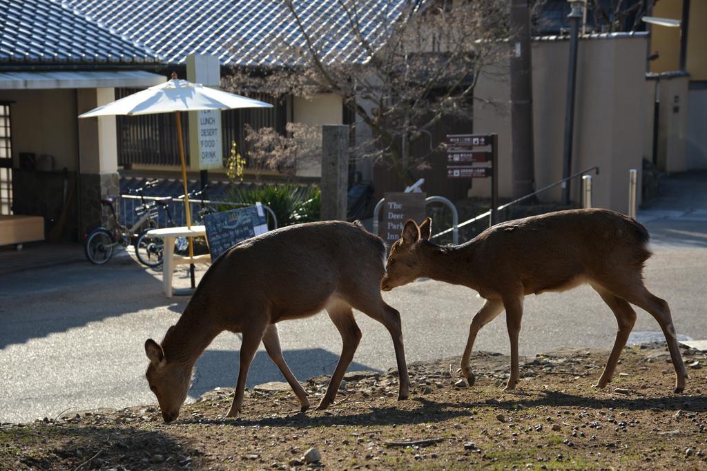 The Deer Park Inn Nara Exteriör bild